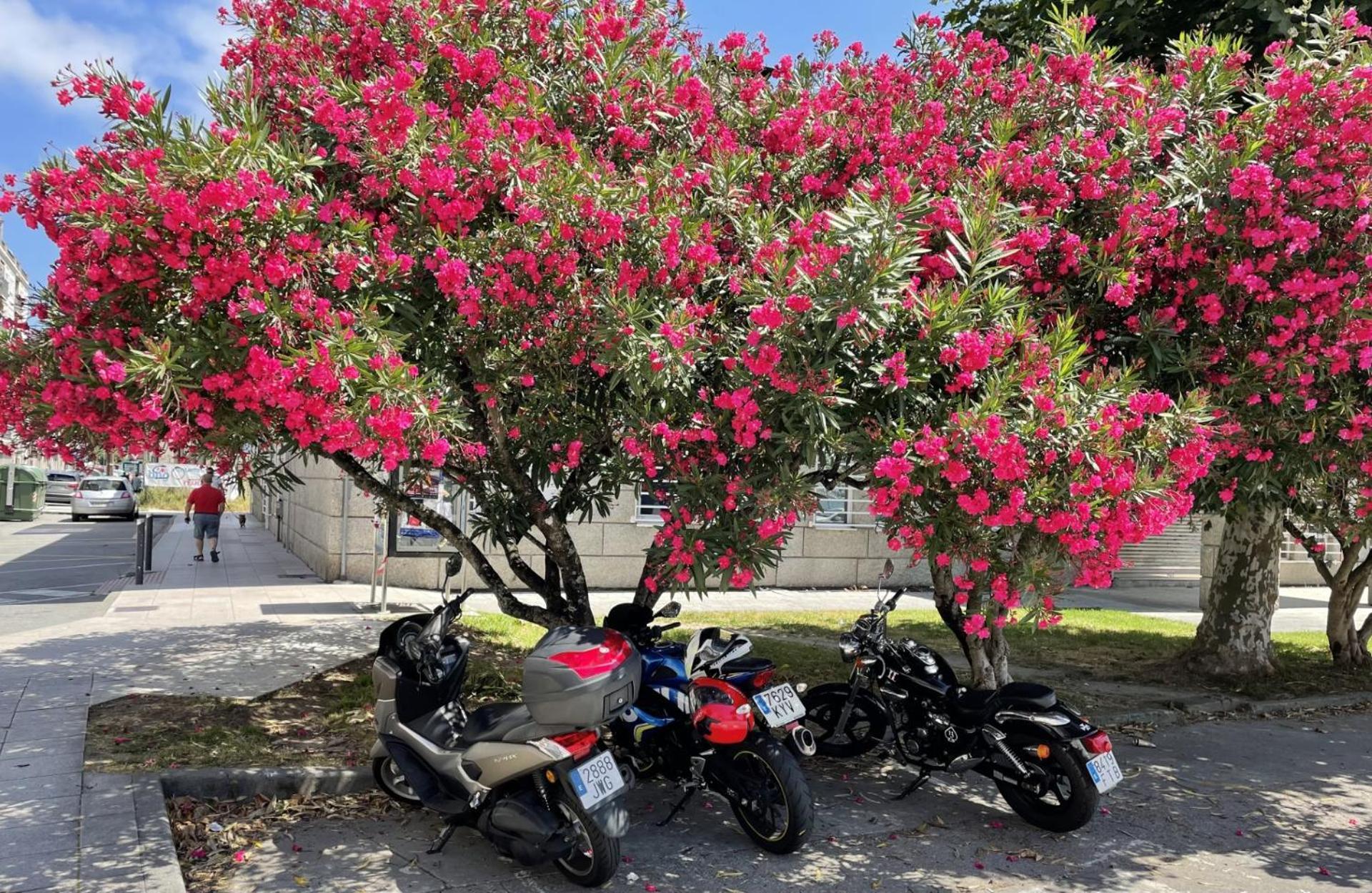Ferienwohnung Atico Deluxe Muy Cerca De La Playa, Parking Gratis Moaña Exterior foto